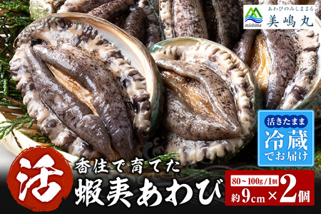 活あわび 養殖 9cm×2枚 160～200g (1個80～100g）あわび アワビ 20-11