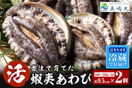 活あわび 養殖 9.5cm×2枚 200～240g（1個100～120g） あわび アワビ 20-12