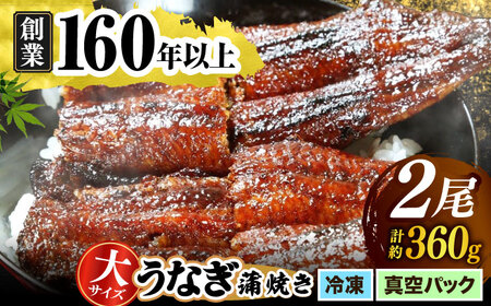 うなぎの蒲焼き 2尾 多治見市/うなぎや[TFO002] うなぎ 