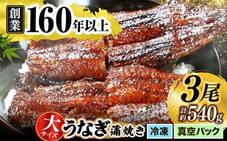 うなぎの蒲焼き 3尾  多治見市/うなぎや[TFO003] 鰻