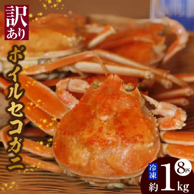 【訳あり】 ボイル セコガニ 8匹 計1kg カニ 44-02