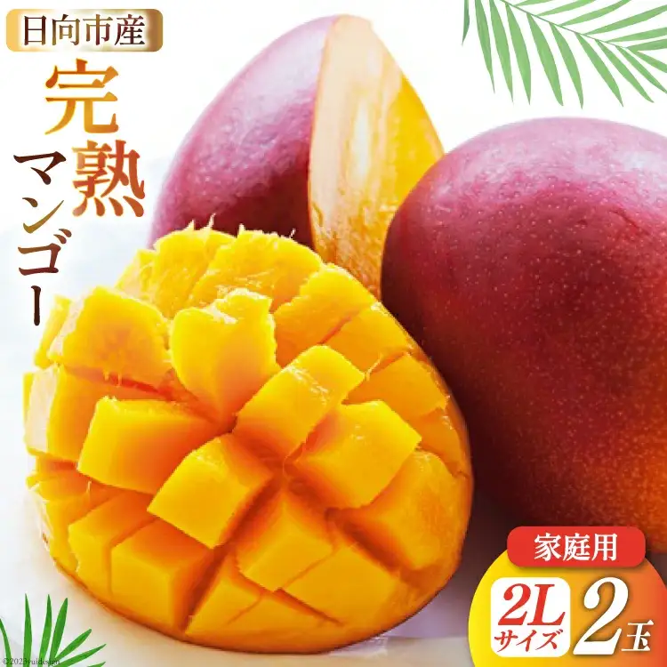 訳あり マンゴー 家庭用 2L 2玉 【2026年夏発送】[452061563]