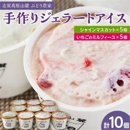 信州なかの　手作りジェラート2種セット(10個入り)【配送不可地域：離島】【1204751】