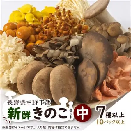 キノコでカラダを整える!新鮮きのこ詰め合わせ 中(7種類以上/10パック以上)【配送不可地域：離島】【1330947】