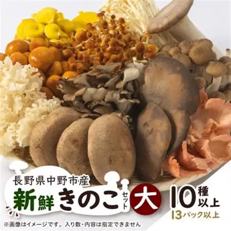 キノコでカラダを整える!新鮮おいしいきのこセット大(10種以上を13パック以上お届け!)【配送不可地域：離島】【1330948】