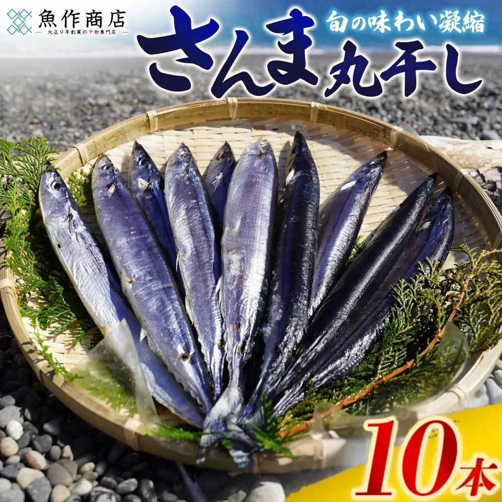 干物 さんま丸干し 10本 干物【uosk0015A】