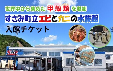 ＼たくさんの生物と触れ合える♪／　エビとカニの水族館 10名様チケット【ebk004】