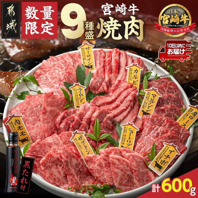 【数量限定】宮崎牛9種盛り焼肉セット≪みやこんじょ特急便≫〔22-31-006-600g-Q〕_(都城市) ギフト 贈答用 牛肉 タレ付き 国産