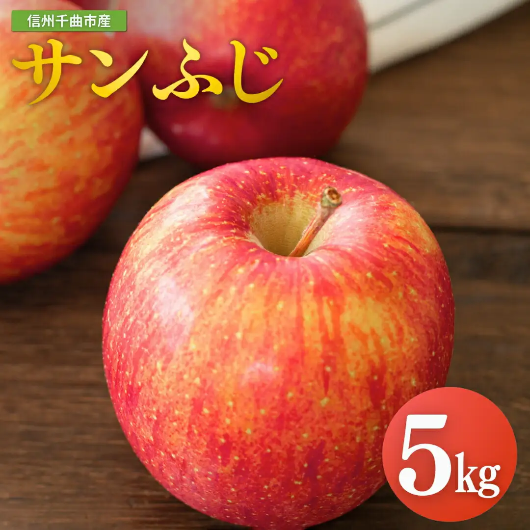 【2026年先行予約】りんご サンふじ 約5kg 中島農園|りんご
