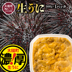【令和8年発送】生うに100g×1個【2026年5月上旬～8月発送】【05】