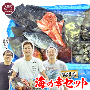 朝獲れ海の幸セット（旬の鮮魚、海藻などの詰合せ）