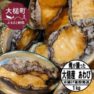 【2026年11月～12月発送】活アワビ 約1kg (7個前後) ※アワビヘラ＆軍手付き※【期間限定】【35】｜冷蔵 三陸 岩手県 大槌町 あわび 人気 鮑 刺身 いわて iwate 2026 初栄丸