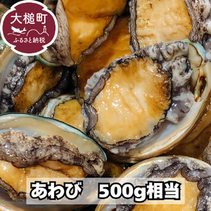 【2026年11月～12月発送】活アワビ 約500g (4個前後) ※アワビヘラ＆軍手付き※【期間限定】【35】｜冷蔵 三陸 岩手県 大槌町 あわび 人気 鮑 刺身 いわて iwate 2026 初栄丸