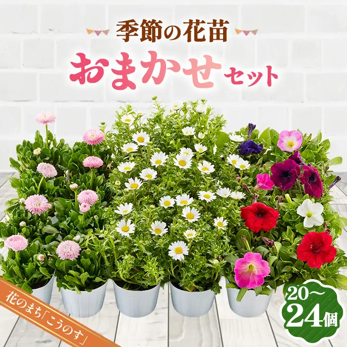 季節の花苗おまかせセット 20～24ポットをお届け 送料無料 No.043