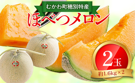 ＜2026年7月より発送＞＜先行受付＞ほべつメロン2玉(約1.6Kg×2玉)＜むかわ町穂別特産品＞ MKWR002