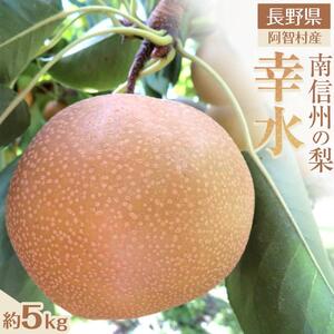 【先行予約】南信州阿智村　梨【幸水】｜果物 フルーツ 期間限定 数量限定 5kg 信州 長野