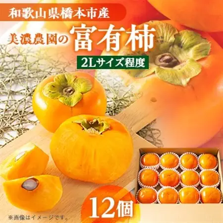 和歌山県産　美濃農園の富有柿　12個(2Lサイズ程度)_果物・フルーツ 柿（カキ）  かき_【配送不可地域：離島・北海道・沖縄県】【1253530】