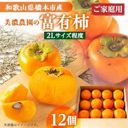 和歌山県産　美濃農園の富有柿　ご家庭用　12個(2Lサイズ程度)_果物・フルーツ 柿（カキ）  かき_【配送不可地域：離島・北海道・沖縄県】【1253533】