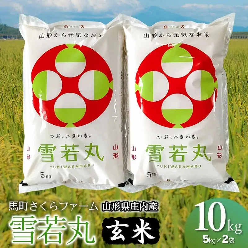 【令和7年産】馬町さくらファームの雪若丸 玄米 10kg（5kg×2袋）　山形県鶴岡市　K-751　| 米 ゆきわかまる お米 10キロ コメ こめ ご飯 ごはん ブランド米 米どころ 庄内米 国産 美味しい お取り寄せ 農家直送 お弁当 おにぎり おすすめ 人気 返礼品