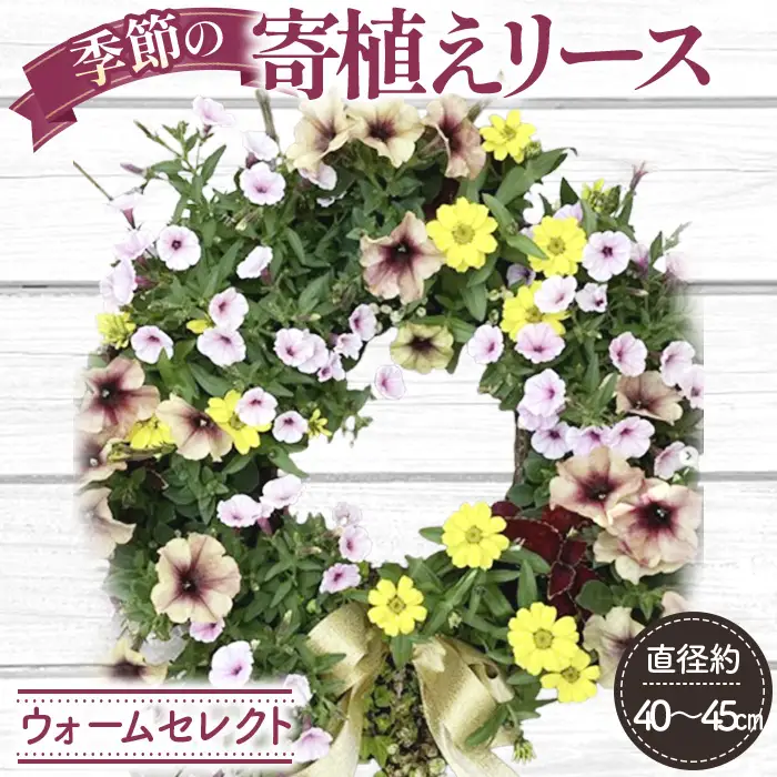 【季節の寄植えリース】ウォームセレクト＊花工房すなが＊ No.147