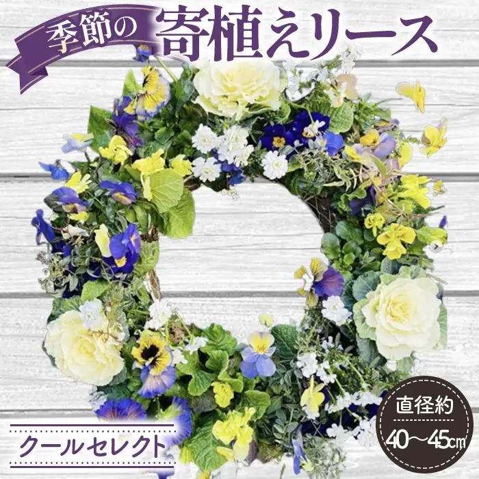【季節の寄植えリース】クールセレクト＊花工房すなが＊ No.148