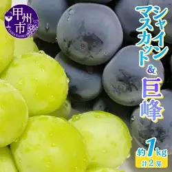 人気のシャインマスカット＆巨峰 2種食べ比べ 約1.0kg 2房【2026年発送】（LKS）B-852 シャインマスカット 巨峰 フルーツ