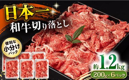 長崎和牛 切り落とし肉 1.2kg / 牛肉 切り落とし 切落し きりおとし すき焼き すきやき しゃぶしゃぶ 小分け / 大村市 / おおむら夢ファームシュシュ[ACAA143]