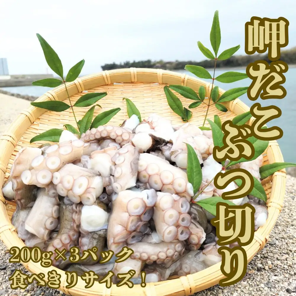 岬だこ ブツ切り 200g×3パック 食べきりサイズ | 豊後高田市 タコ 蛸 たこ