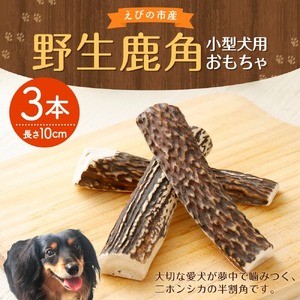 野生鹿角 3本 長さ10cm 幅2～3cm程度 小型犬用 おもちゃ 犬用 鹿の角 半割角 犬 ガム 骨 デンタルケア 宮崎県産 送料無料