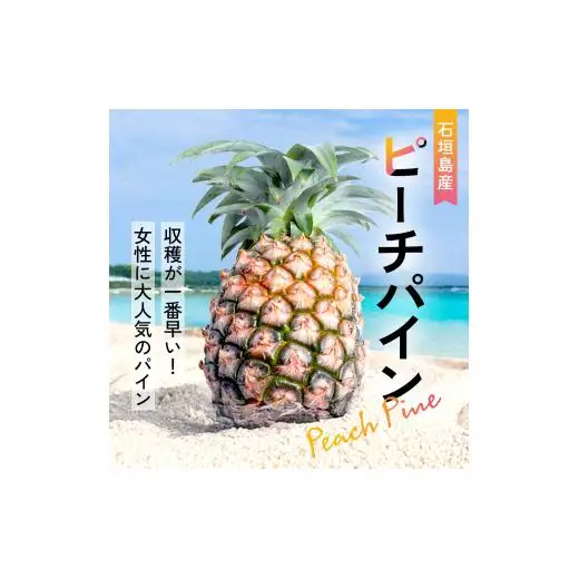 大玉ピーチパイン 6玉 約6.0kg