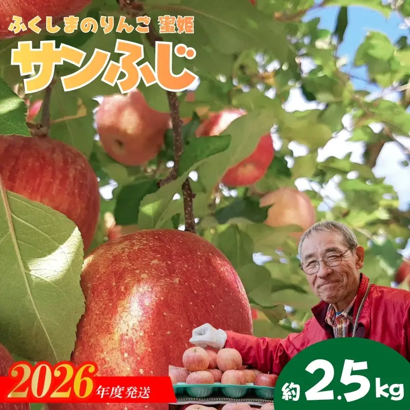 No.1357 ふくしまのりんご蜜姫「サンふじ」約2.5kg化粧箱入【2026年度発送】