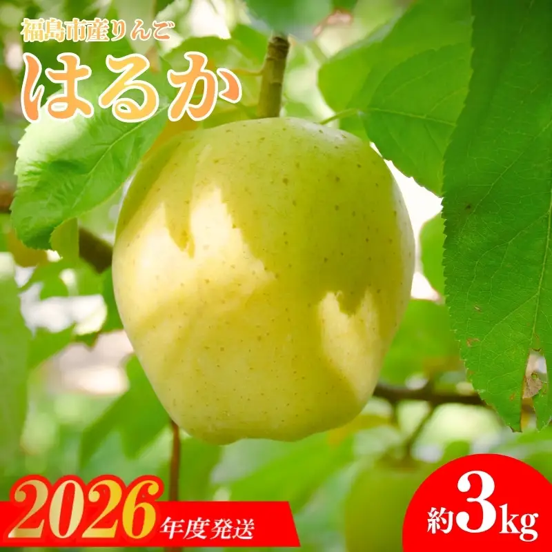 No.1474 りんご「はるか」約3kg【2026年度発送】