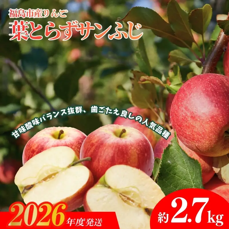 No.1924 ふくしまのりんご 葉取らずサンふじ 贈答用　約2.7kg【2026年度発送】