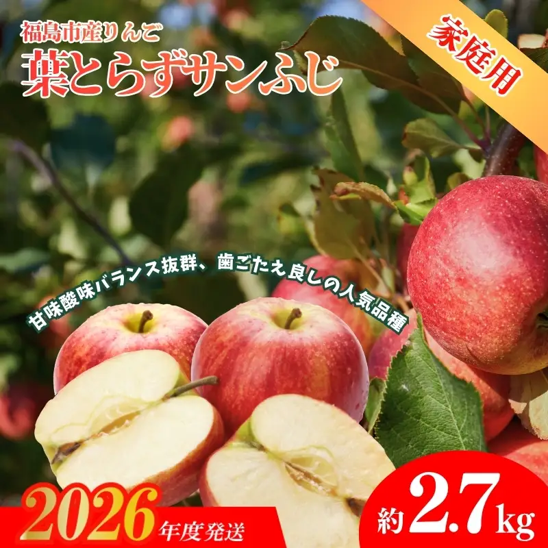 No.1926 ふくしまのりんご 葉取らずサンふじ ご家庭用　約2.7kg【2026年度発送】