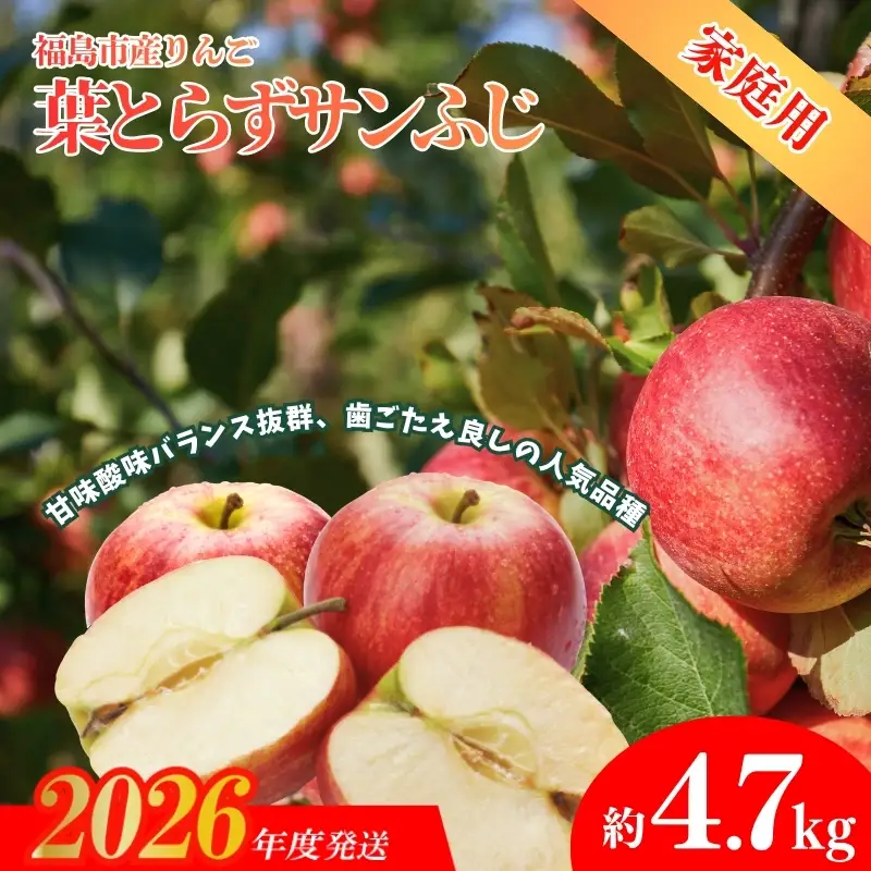 No.1927ふくしまのりんご 葉取らずサンふじ ご家庭用　約4.7kg【2026年度発送】