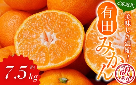 【訳ありみかん7.5kg】  訳あり 有田みかん 約7.5kg【nuk157F】