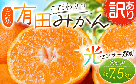 【訳あり】農家直送 有田みかん 約7.5kg ご家庭用 サイズ混合 ※2026年11月～2027年1月に順次発送予定（お届け日指定不可）※北海道・沖縄・離島への配送不可 訳ありみかん みかん ミカン 蜜柑 柑橘 フルーツ 果物 くだもの 温州みかんサイズ混合 訳ありみかん 温州みかん 有機質肥料100% ふるさと納税 柑橘 有田 産地直送【nuk157F】