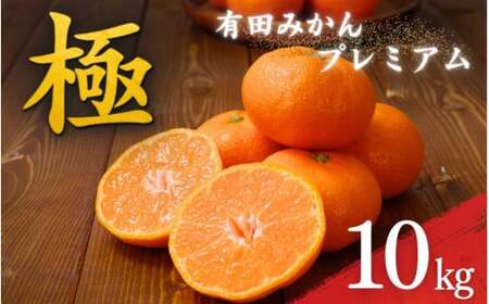 【 上位20％の高糖度のものだけを選別 】 極 有田みかんプレミアム 約10kg【光センサー 高糖度選別品】2S～Lサイズ 有機質肥料100% みかん ミカン 蜜柑 柑橘 温州みかん フルーツ 果物 くだもの 柑橘 人気 農家直送 甘い 和歌山県 北山村 ※2026年11月～2027年1月に順次発送予定※北海道・沖縄・離島への配送不可  【nuk156D】 