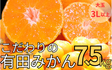 【農家直送】有田みかん 約7.5kg 大玉3L以上 有機質肥料100% ※2026年11月～12月に順次発送(お届け日指定不可) みかん ミカン 温州みかん 柑橘 有田 和歌山 産地直送【nuk158D】 