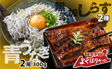 青うなぎ＆しらす干し  渥美半島よくばりセット  蒲焼き 鰻 ウナギ うなぎ蒲焼 惣菜 幻 簡単調理 おいしい 高評価 ふるさと納税 魚 さかな 魚介 ランキング しらす シラス おすすめ 