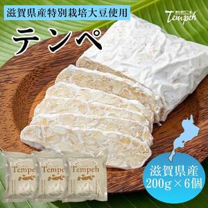 ルストテンペ(滋賀県産特別栽培大豆使用)6個セット テンペ