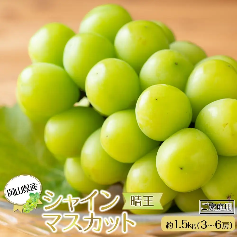 岡山県産 ぶどう  2026年発送 ご家庭用 シャインマスカット 晴王約1.5kg （3～6房）フルーツ 果物 | シャインマスカット