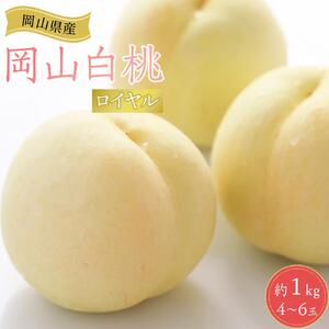 2026年 先行受付 岡山県産 白桃  ロイヤル 約1kg 4～6玉 桃