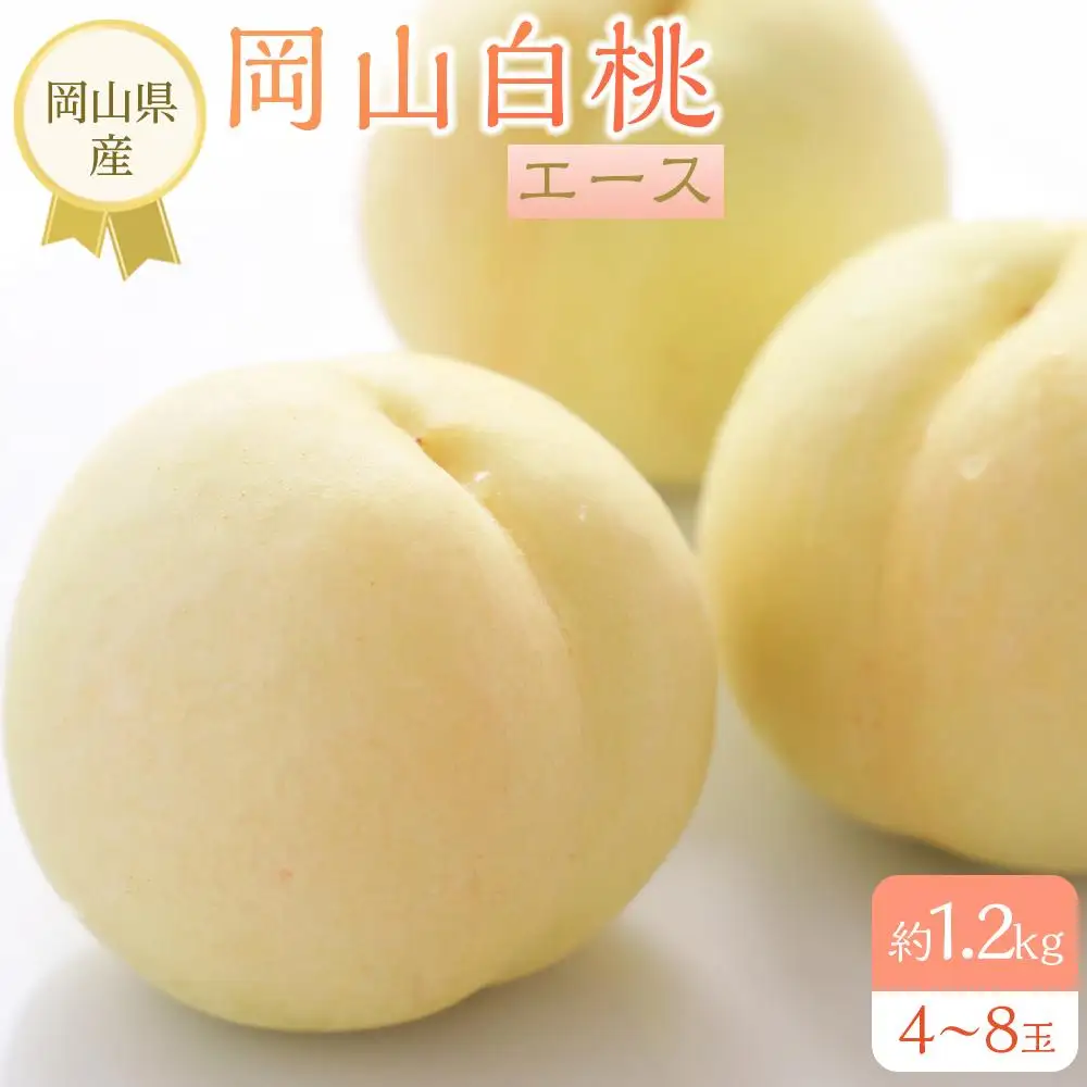 2026年 先行予約 岡山県産   白 桃   エース 約1.2kg（4～8玉）｜ 桃