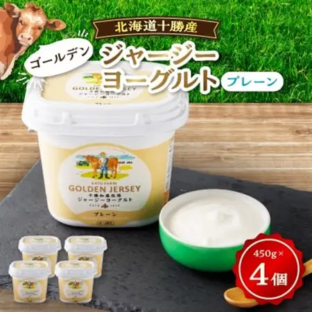 【毎月定期便】ゴールデンジャージーヨーグルト 450g×4個 北海道 十勝 加藤牧場全6回_卵・乳製品 ヨーグルト    定期便 定期便  _【配送不可地域：離島】【4013285】