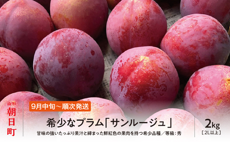 ＜先行予約＞プラム サンルージュ ２kg 大玉 2L以上 秀品 化粧詰め 【2026年9月中旬～９月下旬発送】 山形県 朝日町産 山形産 すもも スモモ フルーツ 果物 秋