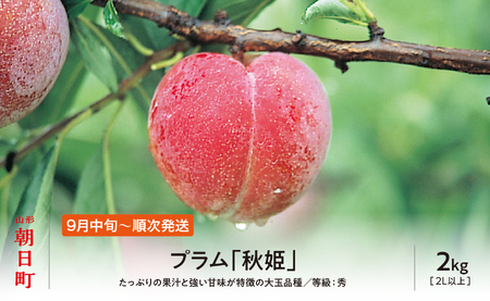 ＜先行予約＞プラム 秋姫 ２kg 大玉 2L以上 秀品 化粧詰め 【2026年９月中旬～９月下旬発送】 山形県 朝日町産 山形産 すもも スモモ フルーツ 果物 秋