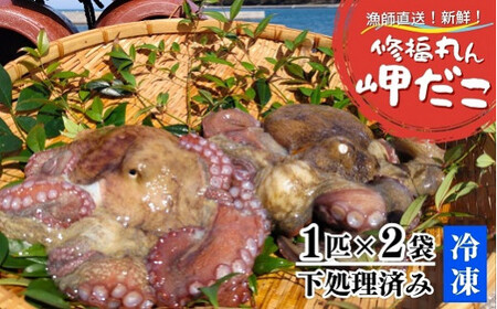 下処理済み 修福丸ん岬だこ 丸ごと2匹 約1.2kg | 豊後高田市 たこ