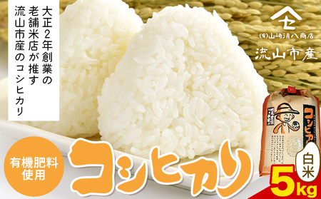 令和7年産 コシヒカリ 米 5kg《30日以内に出荷予定(土日祝除く)》 有機肥料 白米