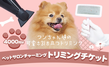 トリミング チケット 4,000円分